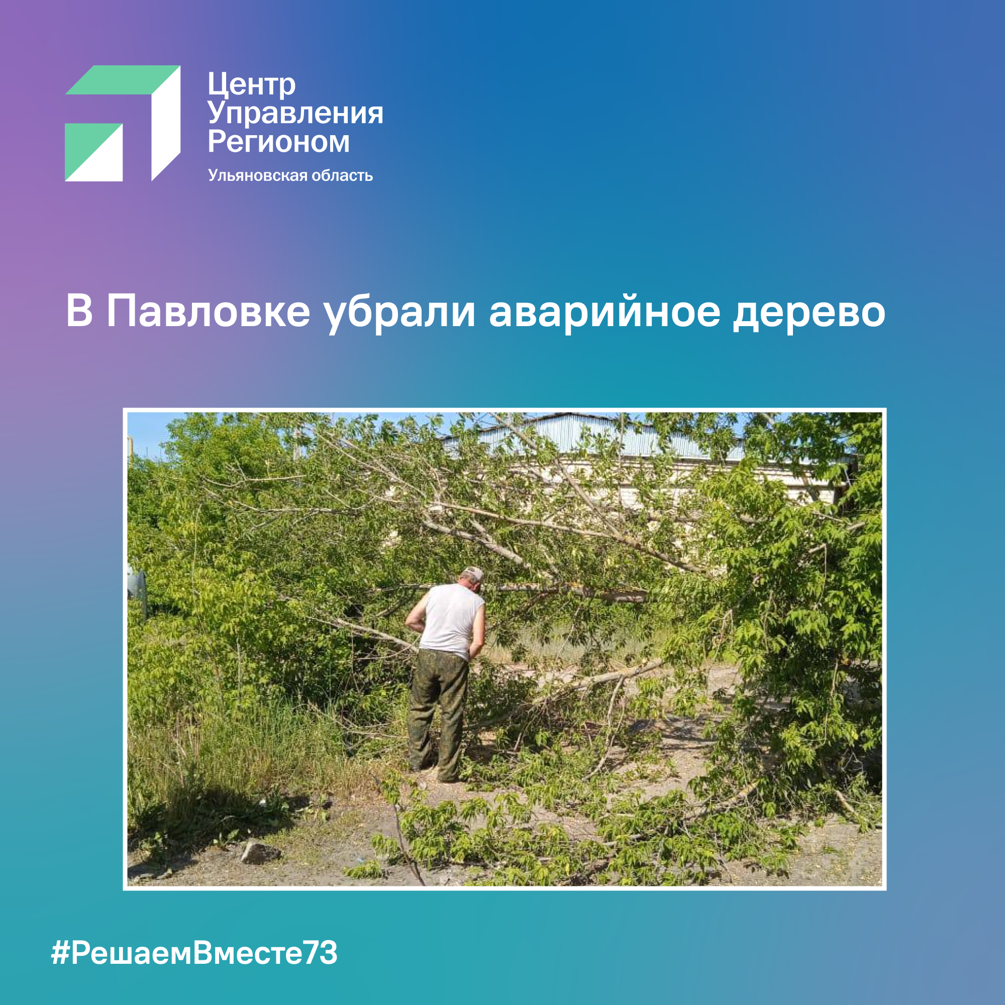 В Павловке убрали аварийное дерево.