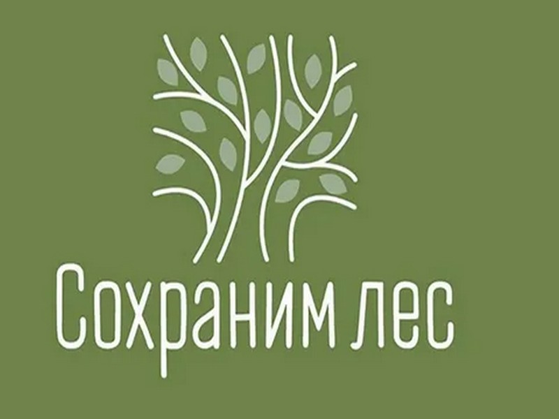 В Ульяновской области природоохранная прокуратура приняла участие в мероприятии по посадке деревьев..