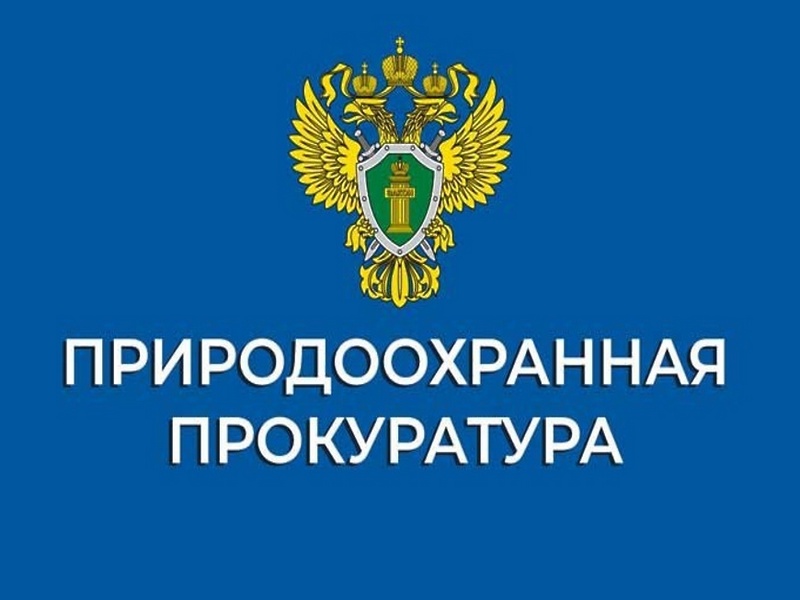 В Ульяновской области по представлению природоохранной прокуратуры за нарушения антикоррупционного законодательства к дисциплинарной ответственности привлечены 5 должностных лиц