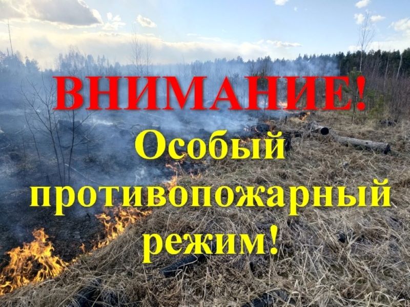 Введение на территории муниципального  образования «Павловский район» Ульяновской  области особого противопожарного режима.