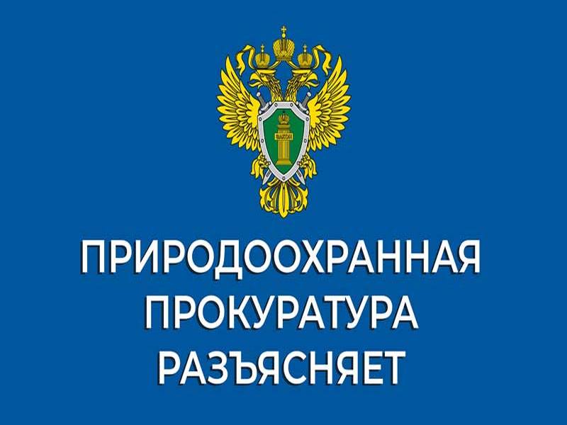 В Ульяновской области вынесен приговор по уголовному делу, возбужденному по материалам проверки природоохранной прокуратуры по факту незаконной рубки лесных насаждений