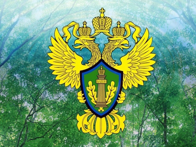 В Ульяновской области материалы проверки природоохранной прокуратуры по факту незаконной добычи недр направлены в следственный орган.