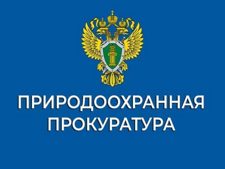 В Ульяновской области по представлению природоохранной прокуратуры за нарушения антикоррупционного законодательства к дисциплинарной ответственности привлечены 5 должностных лиц.