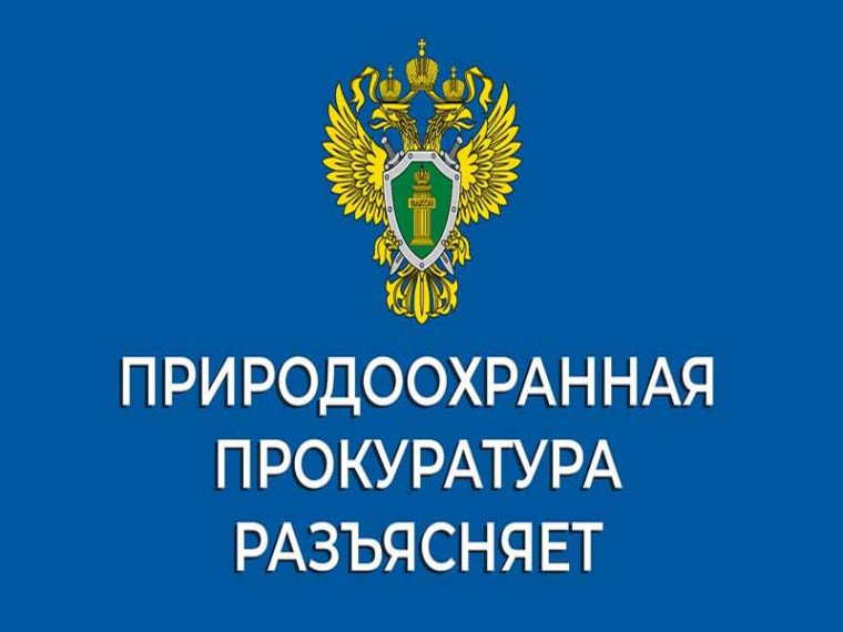 В Ульяновской области вынесен приговор по уголовному делу, возбужденному по материалам проверки природоохранной прокуратуры по факту незаконной рубки лесных насаждений.