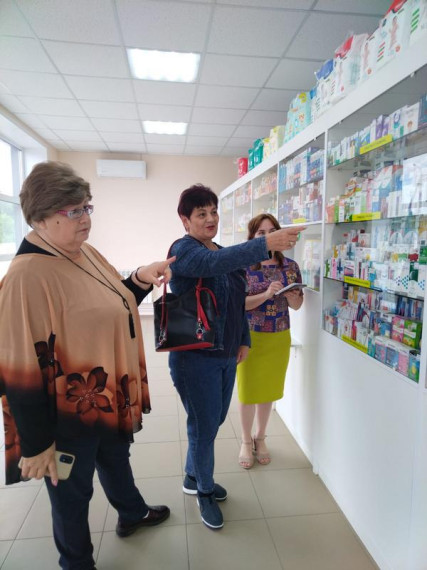 Общественники провели мониторинг цен на жизненно-важные медицинские препараты в аптеках р.п. Павловка.