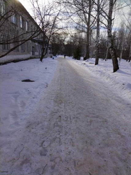 Общественники проверили своевременность очистки местных дорог от снега.